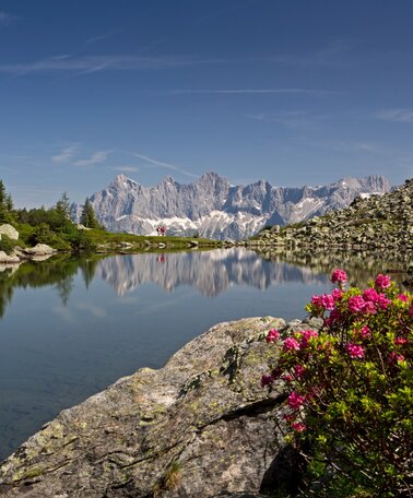 Der Spiegelsee (Mittlerer Gasselsee) auf der Reiteralm | © Schladming Dachstein/Herbert Raffalt
