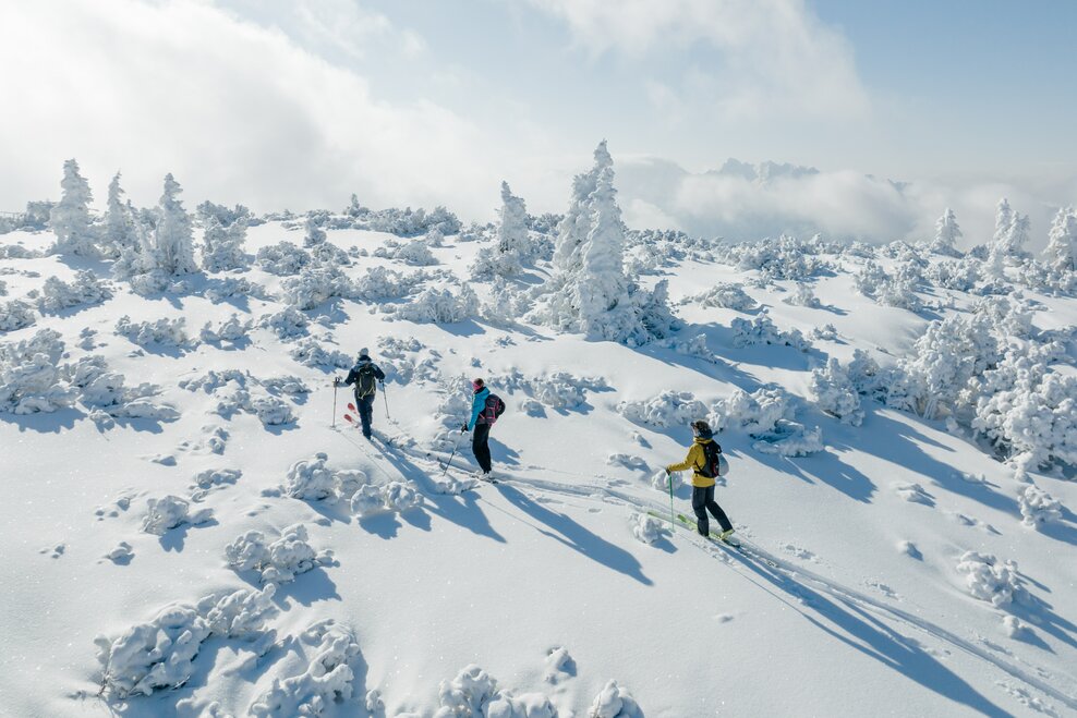 Die Bergstation Alpin & Freeride Center - Impression #1.1 | © Salzkammergut/Katrin Kerschbaumer