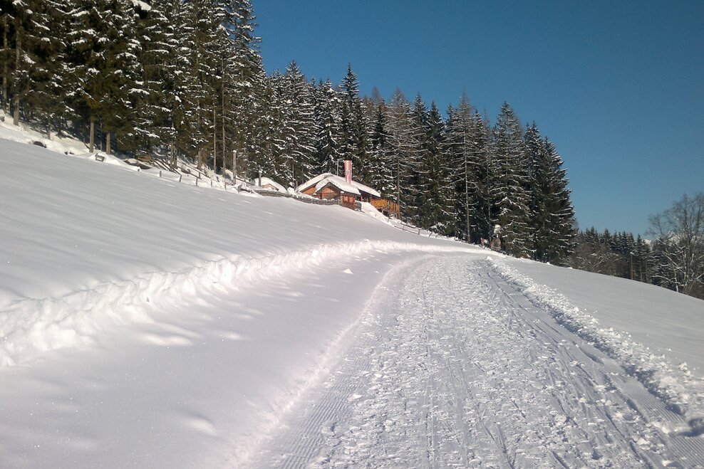 Sattelberghütte - Impression #1.1