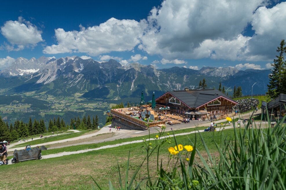 Schafalm Planai - Impression #1.2 | © Harald Steiner