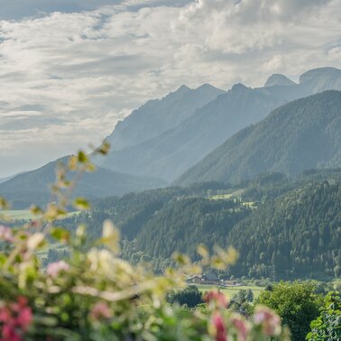 Stimmungsbild | © Christine Höflehner