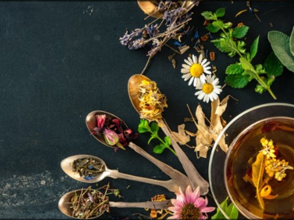 Workshop: Making ointments - Impression #1 | © Christina Marschall-Schranz