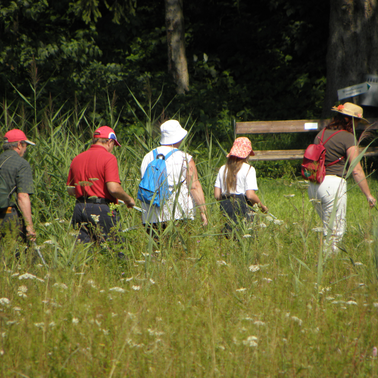 © TV Grimming-Donnersbachtal