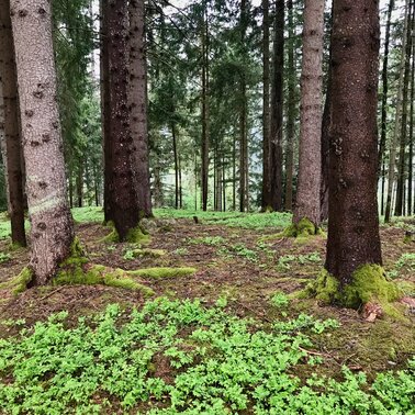 © Birgit Geieregger