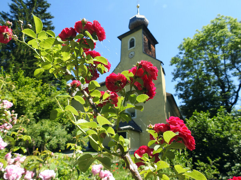 Museum Schloss Großsölk - Impression #2.3