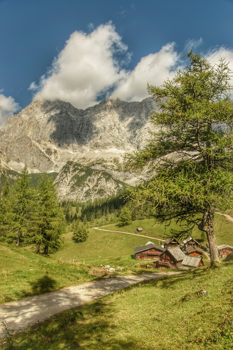 Almabtrieb in Ramsau am Dachstein | © Marlene Eggmayr