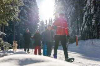 Winterwochenprogramm Alpincenter Dachstein Ski & Langlaufschule Ramsau  - Impression #2.4 | © Alpincenter