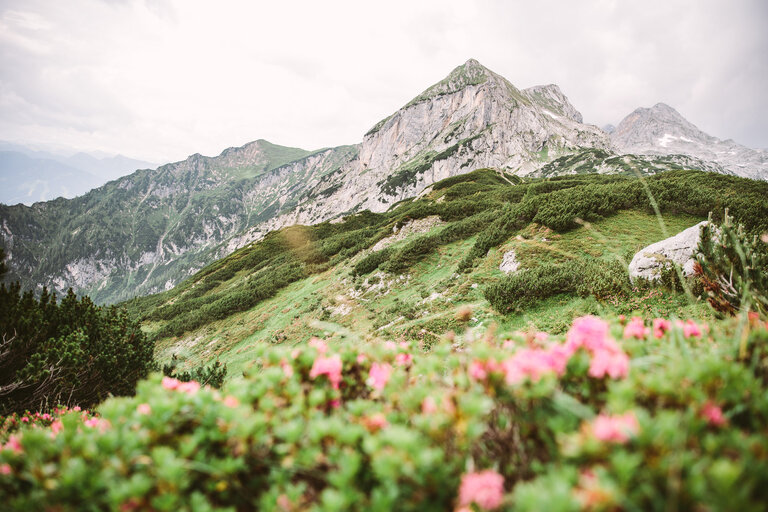 Package Dachstein Sonnen-Runde - Impression #2.2 | © Lady Venom