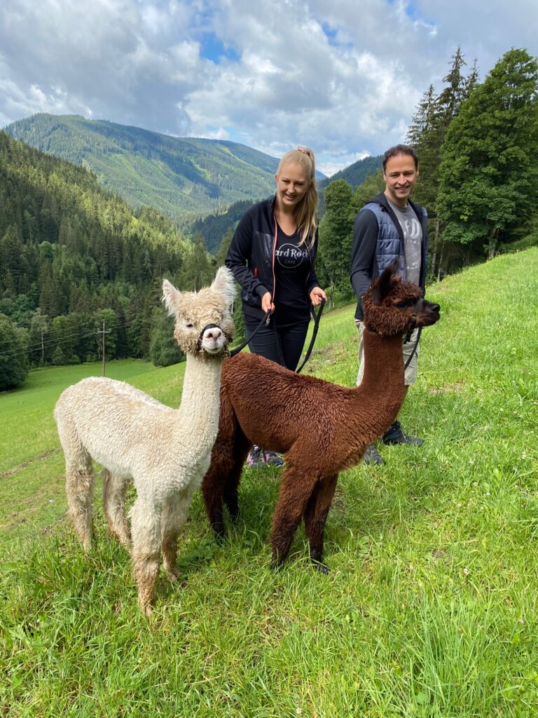 Dachstein Alpakas am Biobauernhof Grundlehner - Impression #2.1 | © Dachsteinalpakas