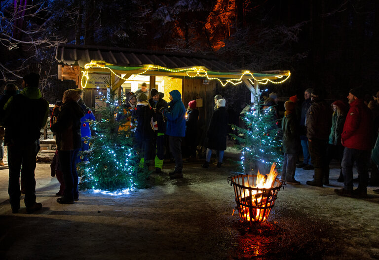 Adventzauber in der Talbachklamm - Impression #2.6 | © Herbert Raffalt